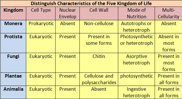 5 kingdoms characteristics
