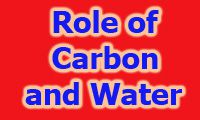 importance of carbon and water