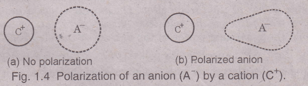 polarization of an anion by a cation