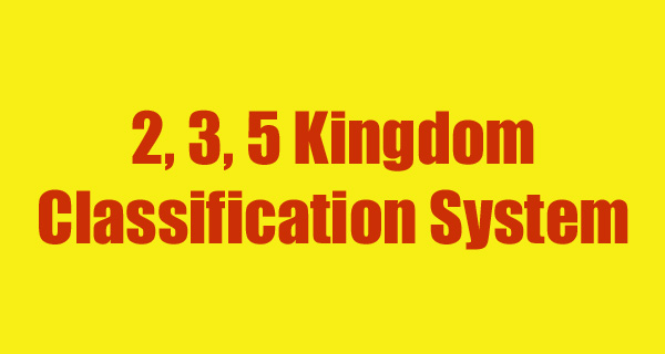 2 3 5 kingdom classification