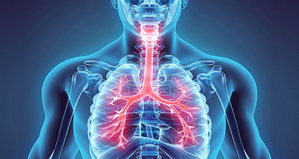 lung disease and their causes