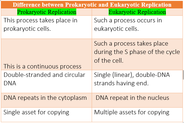 Difference between Prokaryotic and Eukaryotic Replication